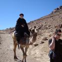 Returning from Pilgrimage to Mount Sinai Returning from Pilgrimage to Mount Sinai